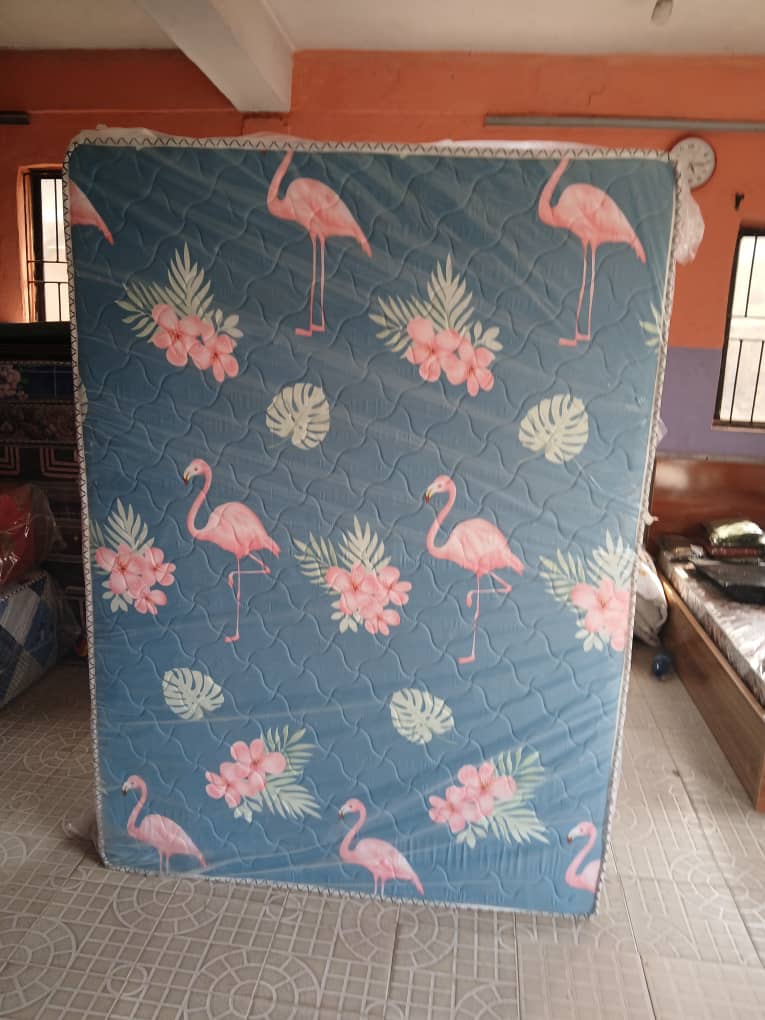 WhatsApp Image 2025-01-20 at 18.12